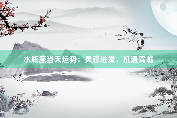 水瓶座当天运势：灵感迸发，机遇驾临