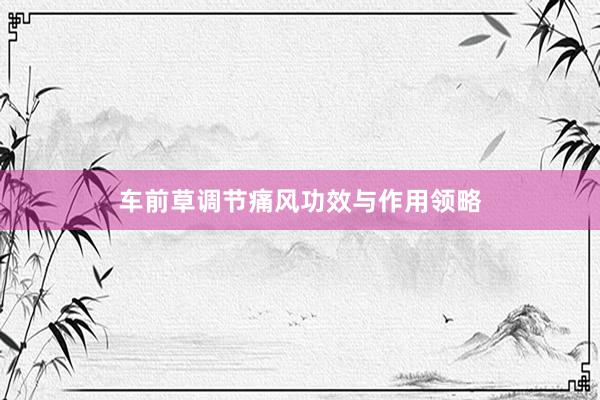 车前草调节痛风功效与作用领略