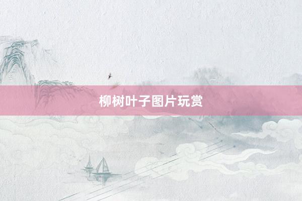 柳树叶子图片玩赏