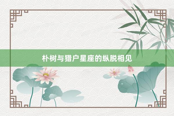 朴树与猎户星座的纵脱相见