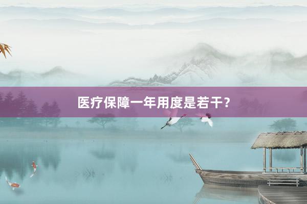 医疗保障一年用度是若干？