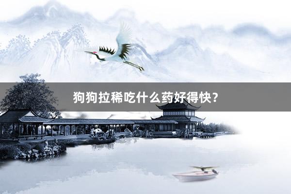 狗狗拉稀吃什么药好得快？